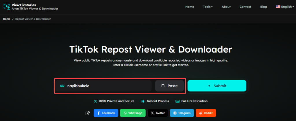 enter username repost viewer