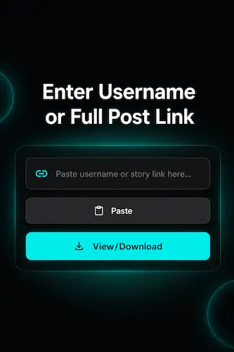 enter username or full post link of the story